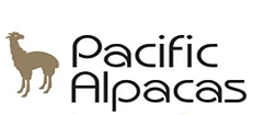 品牌logo